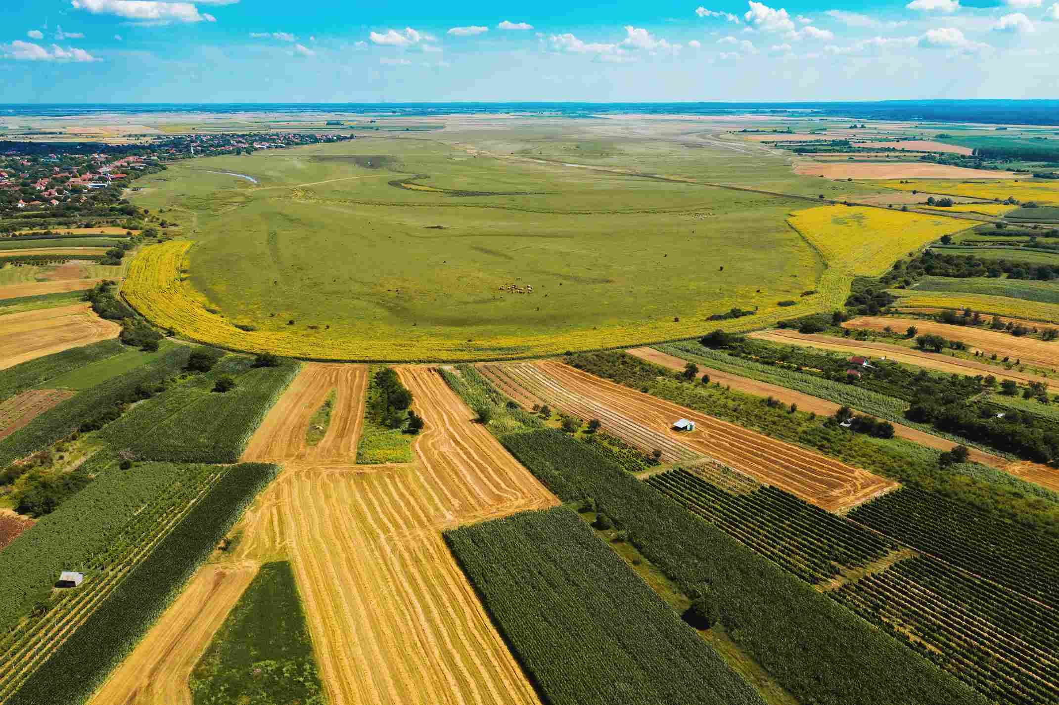 Aerial view of patchwork farmland with crops and open fields